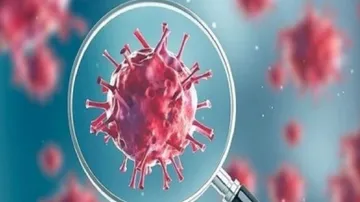 Scientists Find Early Versions Of Covid, Maybe Linked To Lab Leak Theory