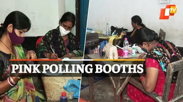 Pink Polling Booths 