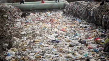 Environment Ministry Notifies Guidelines On EPR For Plastic Packaging