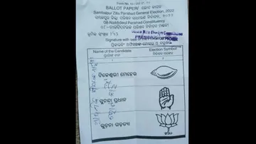 'No Primary Education, No Vote': Photo Of Ballot Paper With Message Goes Viral In Redhakhol