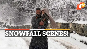 Snowfall In Kashmir Valley 