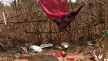Horrendous! 5 Kids 'Sacrifice' Puppy, Drink Blood In Odisha’s Bolangir
