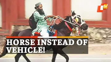 Horse Ride To Work