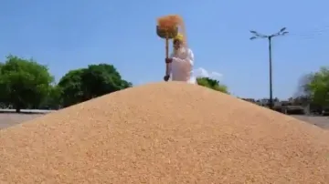 India Looking Beyond Conventional Markets To Export Wheat