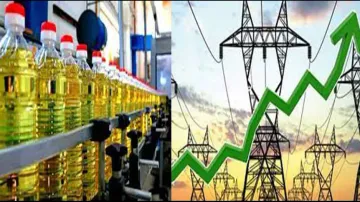 Economic Survey Unravels Goosebumps