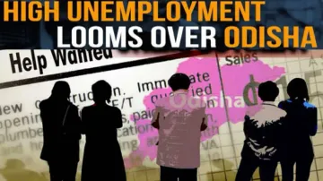 Unemployment - Neither Sliced Nor Diced! 