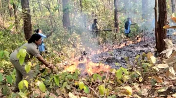 As Fire Continues To Rage In Odisha's Similipal National Park Wild Animals Enter Human Habitation