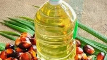 Govt Begins Inspection Drive To Curb Hoarding Of Edible Oils, Oilseeds: Food Secy