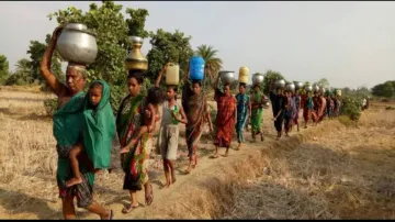 Public Cry Pani, Pani, Water Management In Pani, Pani