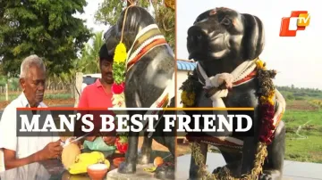  Dog Statue, Dog Human Relationship