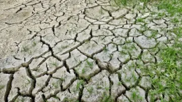 Why Climate Crisis Is Also Health Crisis