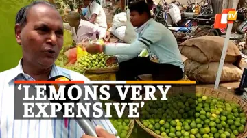 Lemon Prices, Lemons, Fuel Price Hike