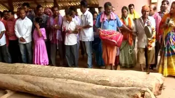 Puri Rath Yatra: Slicing Of Chariot Wood Begins At Cuttack