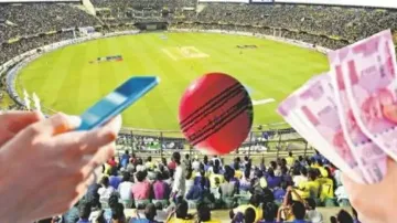 IPL Betting 