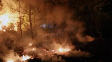 Wildfires in New Mexico continue going wild