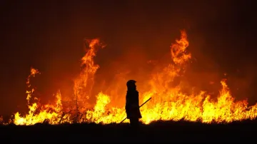 Odisha's forest fire management
