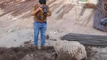 Ancient Lion Sculpture Excavated In Puri
