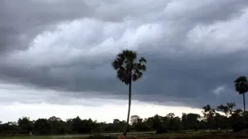 Monsoon likely to enter Odisha in 48 hours, says IMD