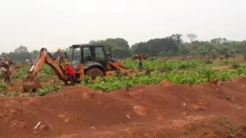 NGT slaps Rs 1 crore fine on Odisha govt for felling Sal trees in Jajpur