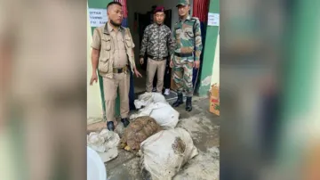 468 exotic animals seized in Mizoram, 5 held