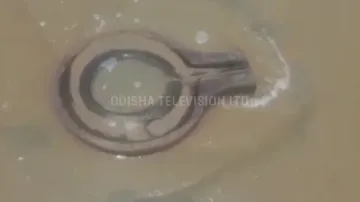 Shakti Kunda washes ashore on Puri beach, thousands rush in 