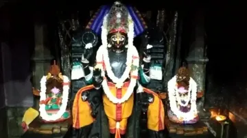 Alarnath Anabasara rituals to be celebrated with full zeal for first time after 2 years