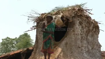 Septuagenarian woman lives in ‘termite mound’ for years