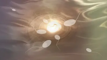 Israeli researchers create sperm using silicon chip
