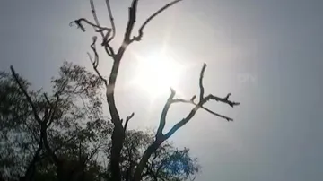 Maximum Temperature To Rise In Odisha