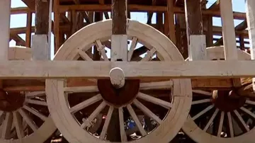 'No shortage of timber for Rath Yatra for next 20 years'