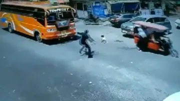Viral videos