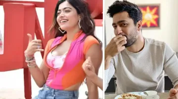 Rashmika Mandanna, Vicky Kaushal