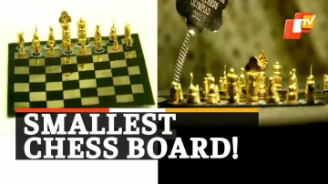 Miniature Chess Board, Coimbatore