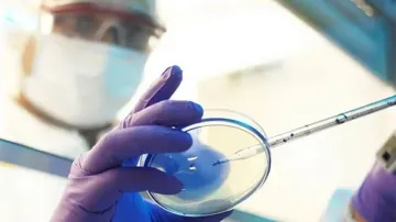 New Langya virus in China 