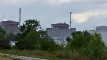 Ukraine nuke plant not at immediate risk: IAEA