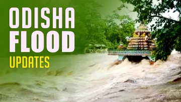 Odisha Flood Havoc