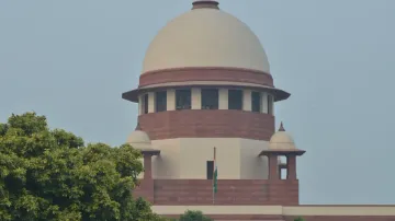 SC: Maternity leave right can't be taken away if availed earlier for non-biological kids
