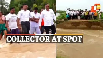 Flood , PuriCollector 