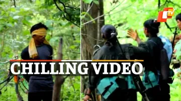 Chilling Video