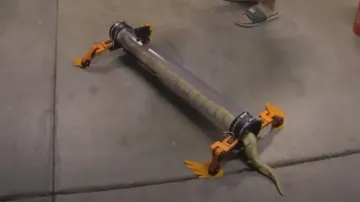 Python walks with robotic legs