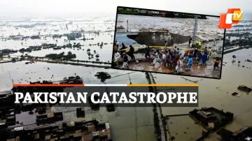 Pakistan Flood, Flood In Pakistan