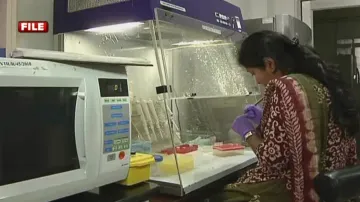 COVID-19 drugs causing side effects, no antibiotics without doctor consultation: RMRC study