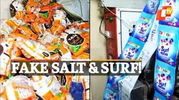 Police Raid, Fake Salt Racket