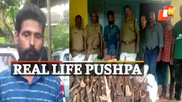 Pushpa,Reallifepushpa ,Sandalwood ,Keral ,Kannur