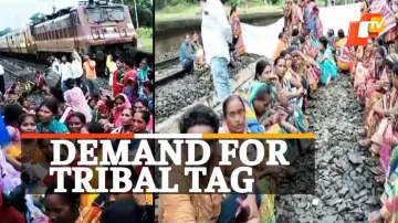 Kudumi Community, Tribal Status