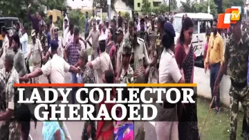 Lady Collector, Villages Protest