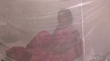 Dengue outbreak in Odisha: Bhubaneswar, Sundargarh worst hit
