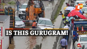 WATCH Flooding In Gurugram