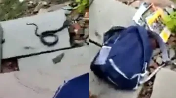 Snake found inside girl student's schoolbag, video goes viral