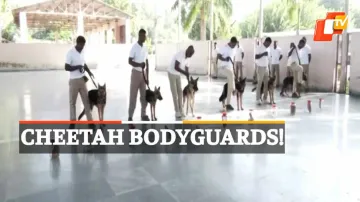 German Shepherd Training, ITBP Training